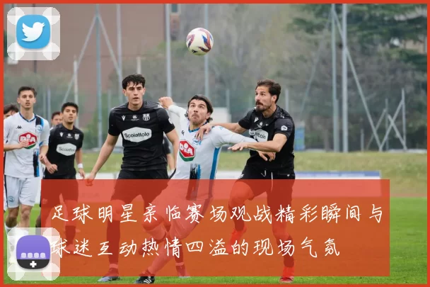 足球明星亲临赛场观战精彩瞬间与球迷互动热情四溢的现场气氛