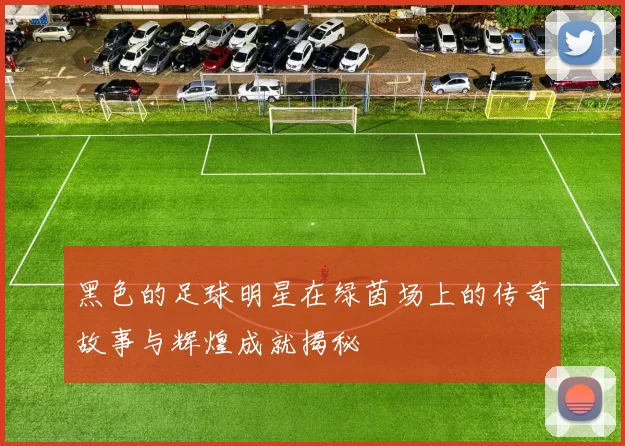 黑色的足球明星在绿茵场上的传奇故事与辉煌成就揭秘