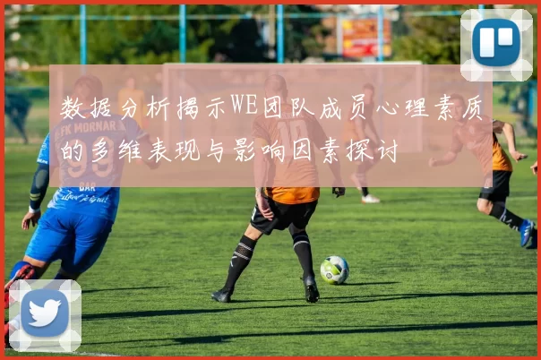数据分析揭示WE团队成员心理素质的多维表现与影响因素探讨