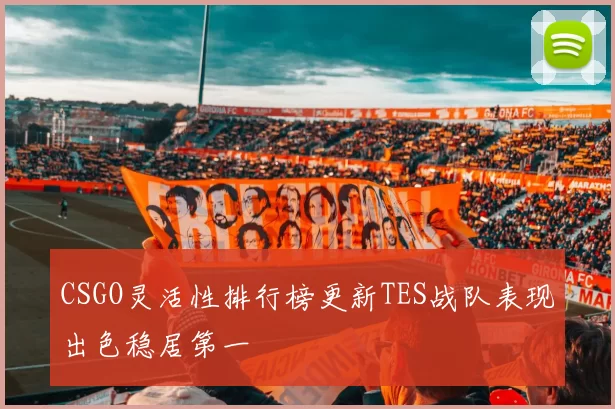 CSGO灵活性排行榜更新TES战队表现出色稳居第一