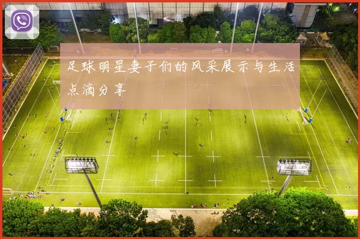 足球明星妻子们的风采展示与生活点滴分享