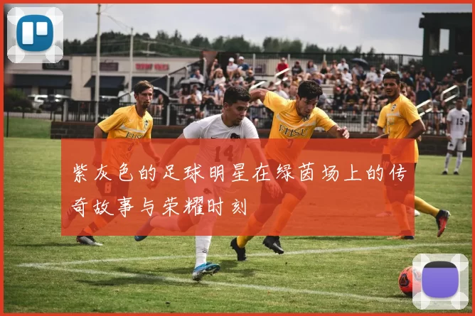 紫灰色的足球明星在绿茵场上的传奇故事与荣耀时刻