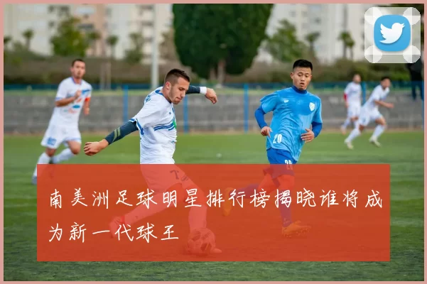 南美洲足球明星排行榜揭晓谁将成为新一代球王
