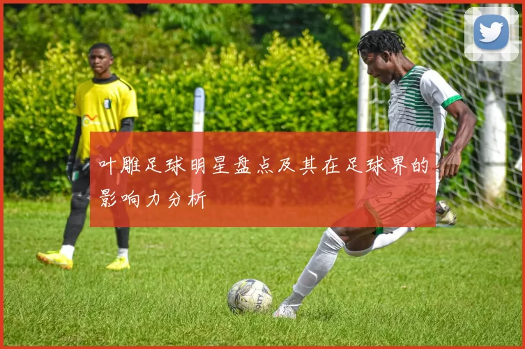 叶雕足球明星盘点及其在足球界的影响力分析
