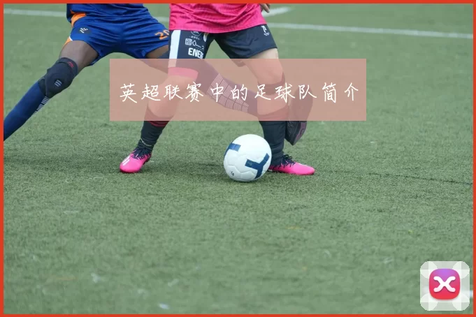英超联赛中的足球队简介