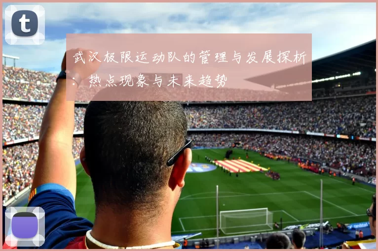 武汉极限运动队的管理与发展探析：热点现象与未来趋势