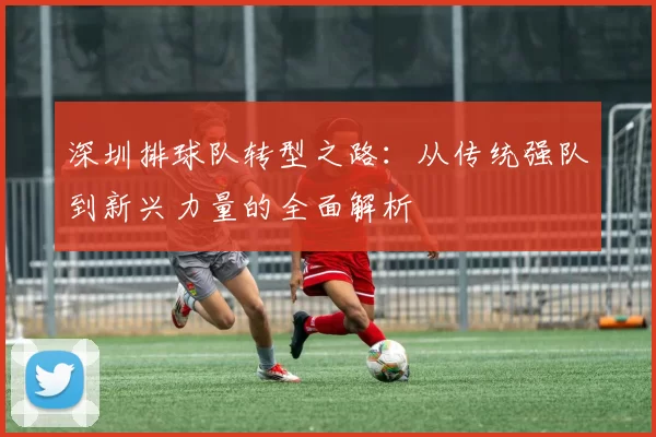 深圳排球队转型之路：从传统强队到新兴力量的全面解析
