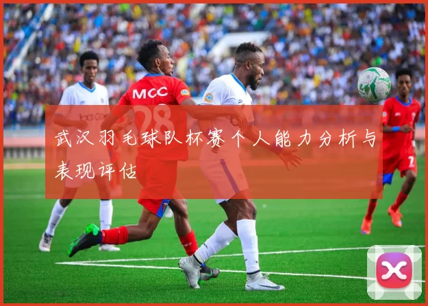 武汉羽毛球队杯赛个人能力分析与表现评估