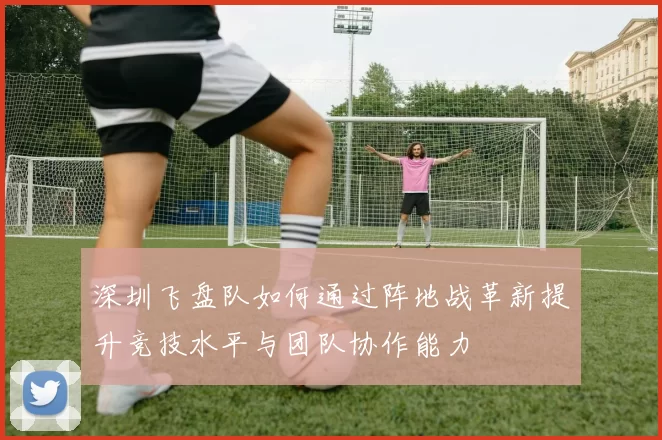 深圳飞盘队如何通过阵地战革新提升竞技水平与团队协作能力