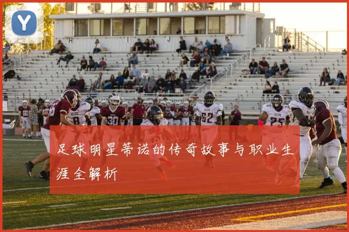 足球明星蒂诺的传奇故事与职业生涯全解析