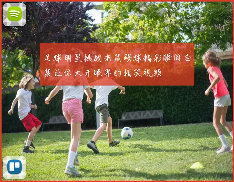 足球明星挑战老鼠踢球精彩瞬间合集让你大开眼界的搞笑视频