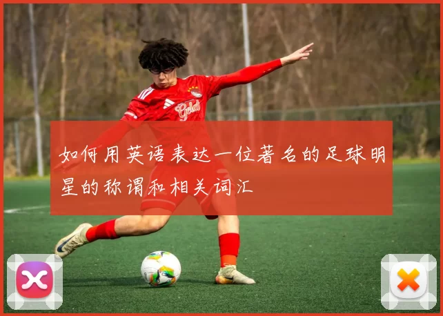 如何用英语表达一位著名的足球明星的称谓和相关词汇