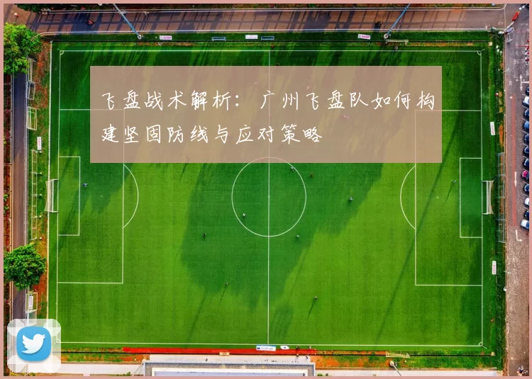飞盘战术解析：广州飞盘队如何构建坚固防线与应对策略