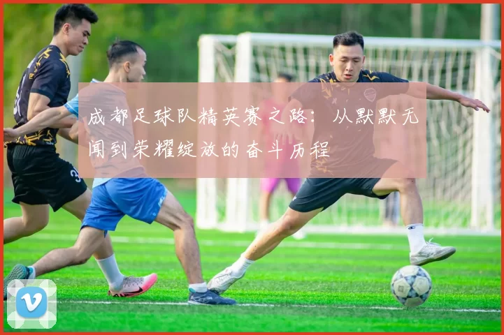成都足球队精英赛之路：从默默无闻到荣耀绽放的奋斗历程
