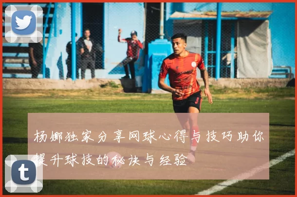 杨娜独家分享网球心得与技巧助你提升球技的秘诀与经验