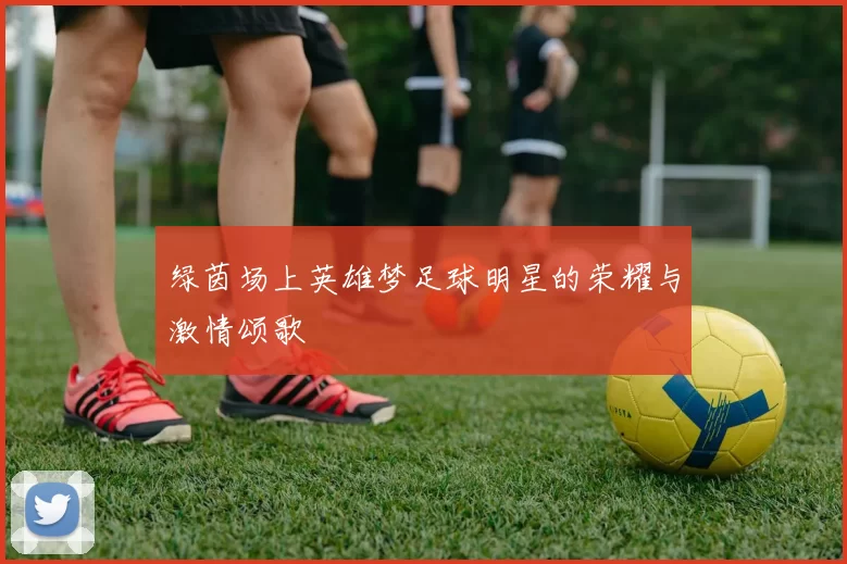 绿茵场上英雄梦足球明星的荣耀与激情颂歌