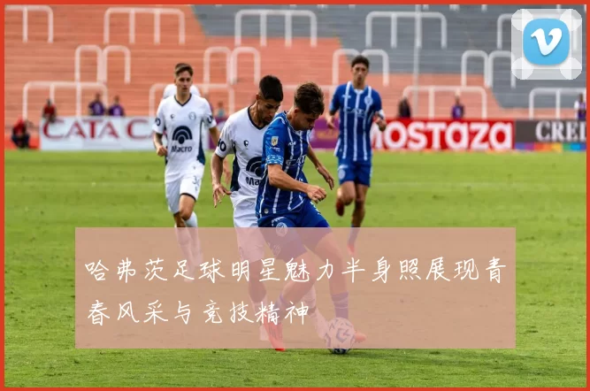 哈弗茨足球明星魅力半身照展现青春风采与竞技精神