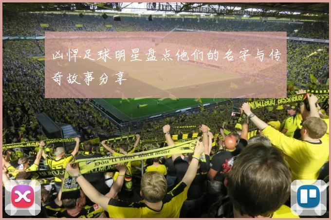 凶悍足球明星盘点他们的名字与传奇故事分享