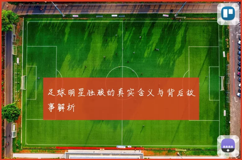 足球明星独狼的真实含义与背后故事解析