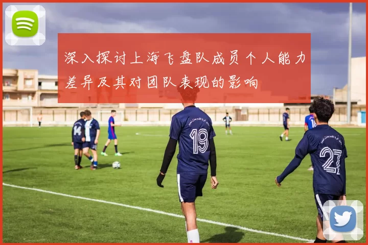 深入探讨上海飞盘队成员个人能力差异及其对团队表现的影响