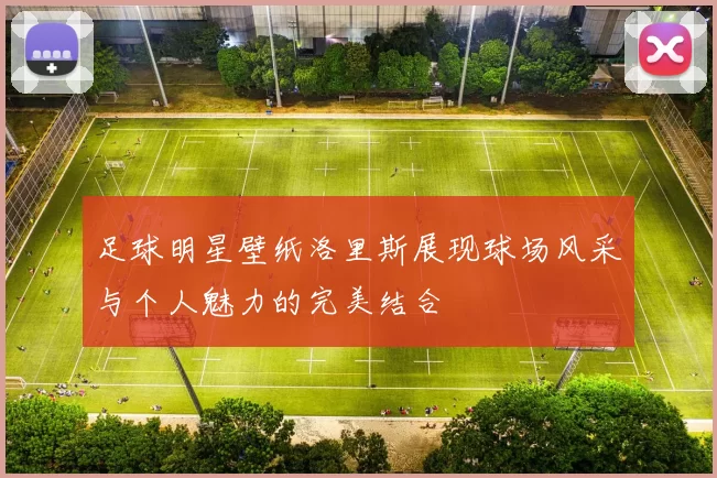 足球明星壁纸洛里斯展现球场风采与个人魅力的完美结合