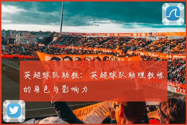 英超球队助教：英超球队助理教练的角色与影响力