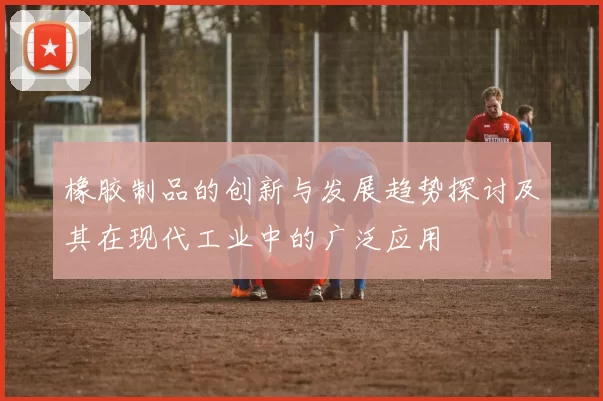 橡胶制品的创新与发展趋势探讨及其在现代工业中的广泛应用