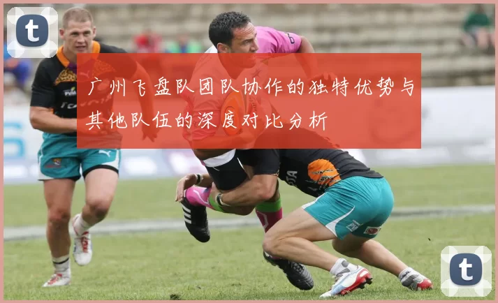 广州飞盘队团队协作的独特优势与其他队伍的深度对比分析