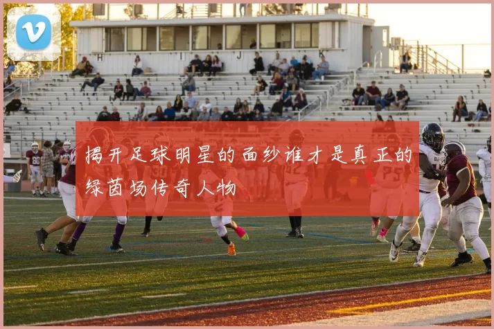 揭开足球明星的面纱谁才是真正的绿茵场传奇人物