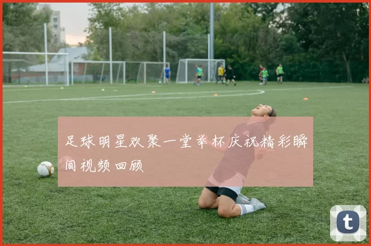 足球明星欢聚一堂举杯庆祝精彩瞬间视频回顾