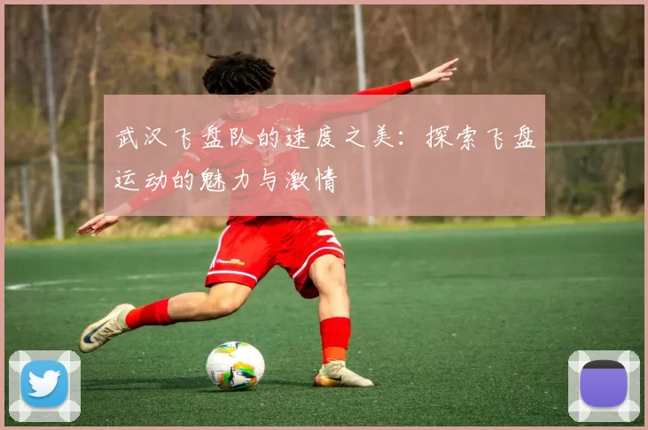武汉飞盘队的速度之美：探索飞盘运动的魅力与激情