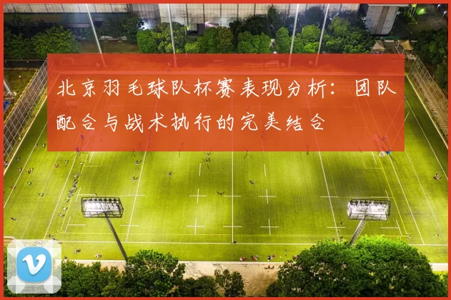 北京羽毛球队杯赛表现分析：团队配合与战术执行的完美结合