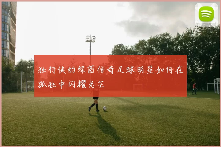 独行侠的绿茵传奇足球明星如何在孤独中闪耀光芒